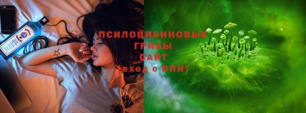 прущие грибы Вязники