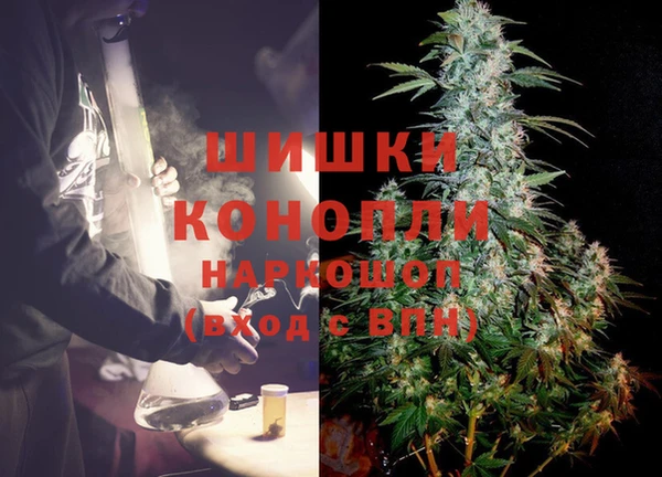 прущие грибы Вязники