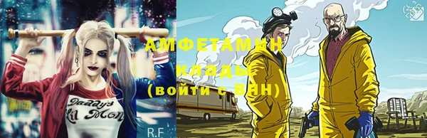прущие грибы Вязники