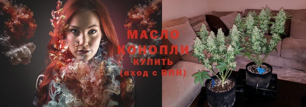 прущие грибы Вязники