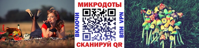 купить   Каменск-Шахтинский  Галлюциногенные грибы мицелий 